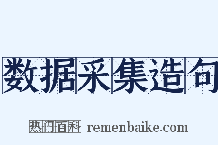 数据采集造句是什么意思的图片